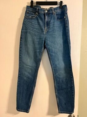 Everlane Medium Blue High-Rise Straight Jeans